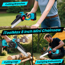 2 in 1 Cordless 8 inch Chainsaw with Pole Saw