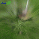 3 In 1 Cordless Grass Trimmer, Weed Eater and Edger