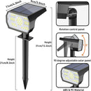2 in 1 Solar Landscape Spotlights