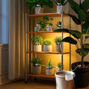 Solar Automatic Watering System