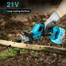 Cordless Reciprocating Saw with 2 Batteries