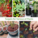 Premium Organic Coconut Coir Bricks