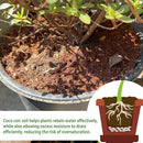 Premium Organic Coconut Coir Bricks