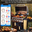 Wireless Meat Thermometer with 2 Probes