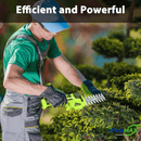 2 in 1 Cordless Shears and Hedge Trimmer