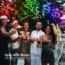 Smart RGB Led Christmas Halloween Color Changing Lights